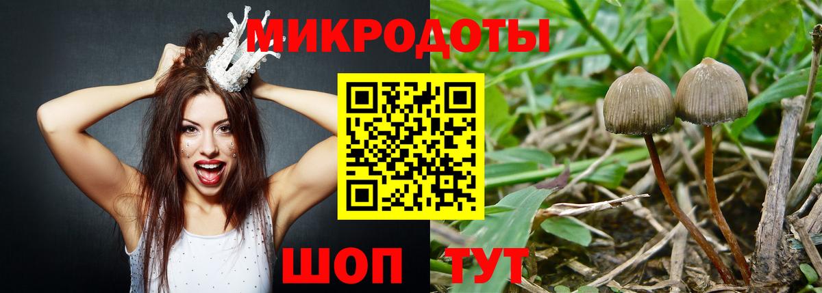 Псилоцибиновые грибы прущие грибы  Вход с VPN  Магнитогорск 
